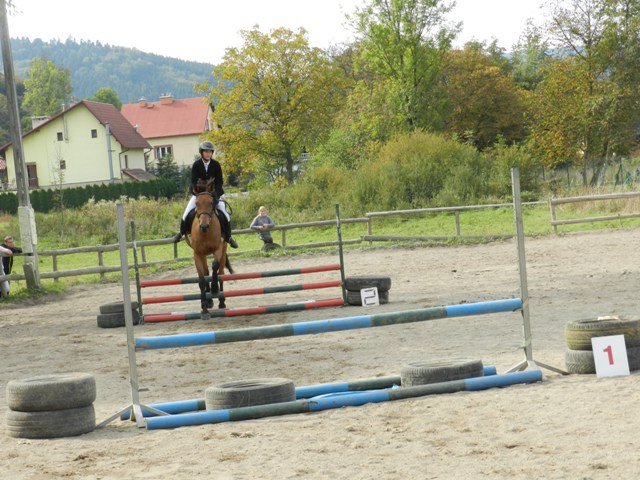 Babie Lato 2016